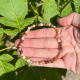 Bracelet 4mm en bois fossile