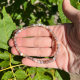 Bracelet 4mm en agate Botswana