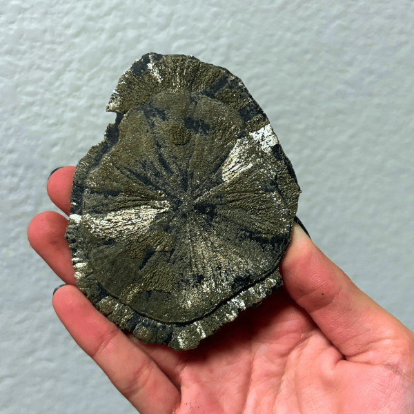 pyrite sun USA