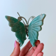 Papillon amazonite