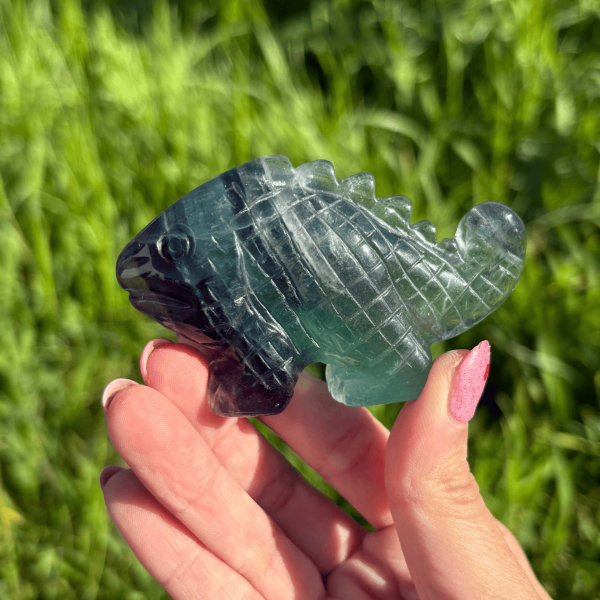 cameleon fluorite