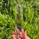 pointe quartz fume brésil