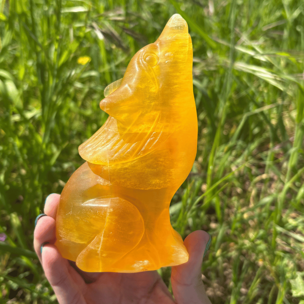 Loup fluorite