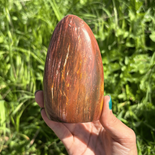 Forme libre en bois fossile de Madagascar