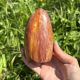 Forme libre en bois fossile de Madagascar