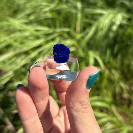 Azurite de Russie