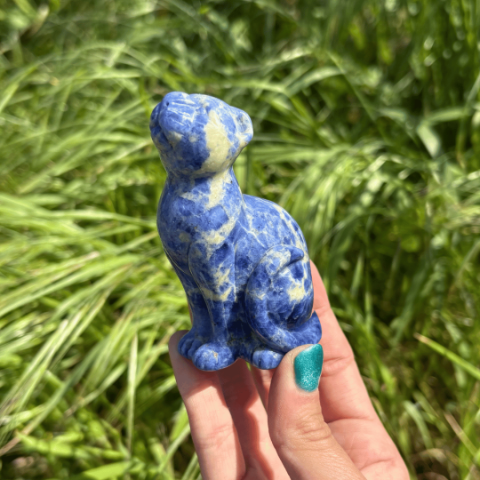 Léopard sodalite