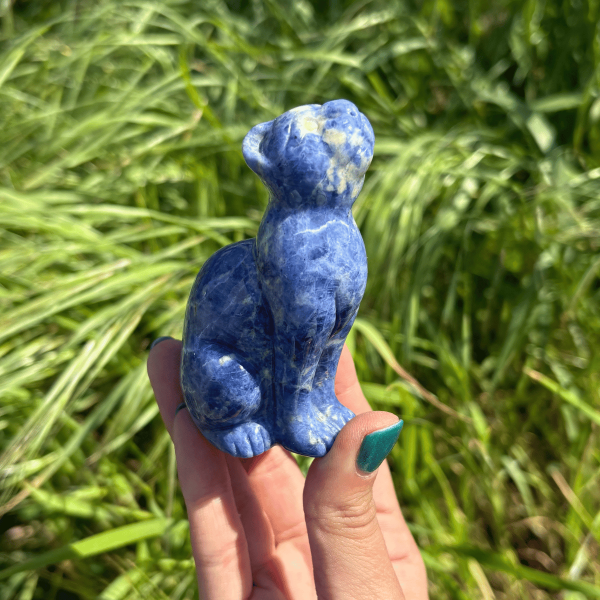 Léopard sodalite