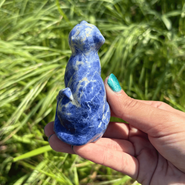 Léopard sodalite