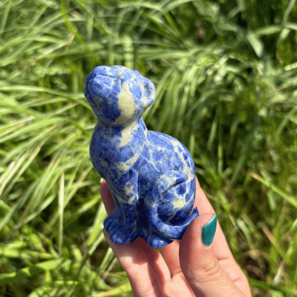 Léopard sodalite