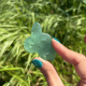Serpent en fluorite