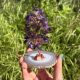 Arbre de vie en améthyste et agate