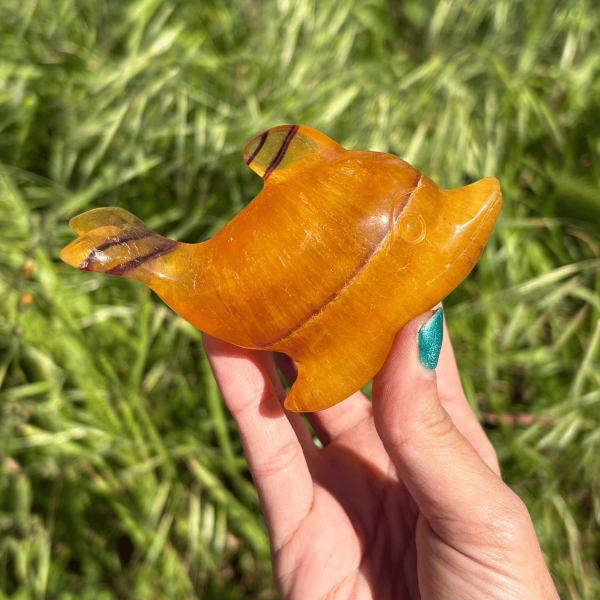 Dauphin en fluorite
