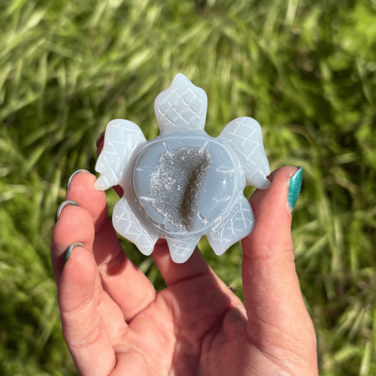 Tortue de mer en agate