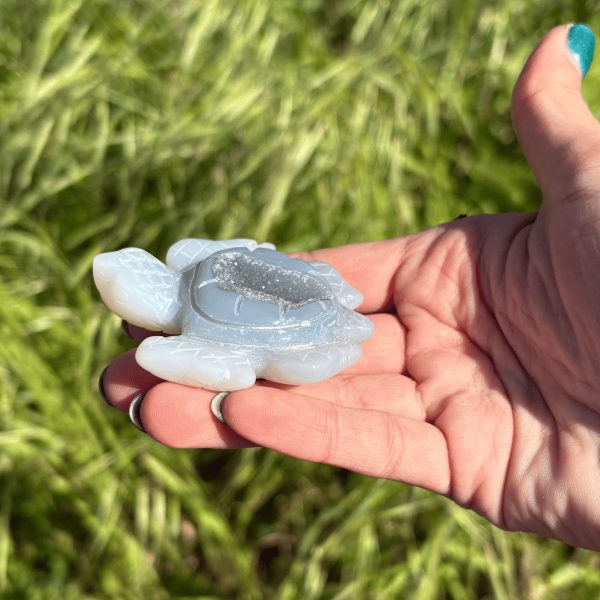 Tortue de mer en agate