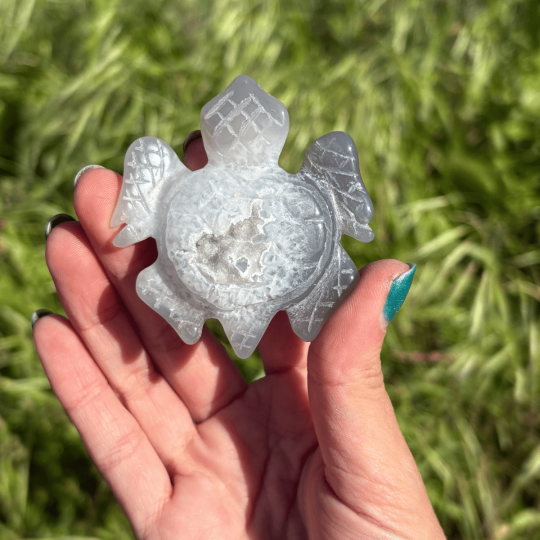 Tortue de mer en agate