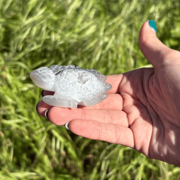 Tortue de mer en agate