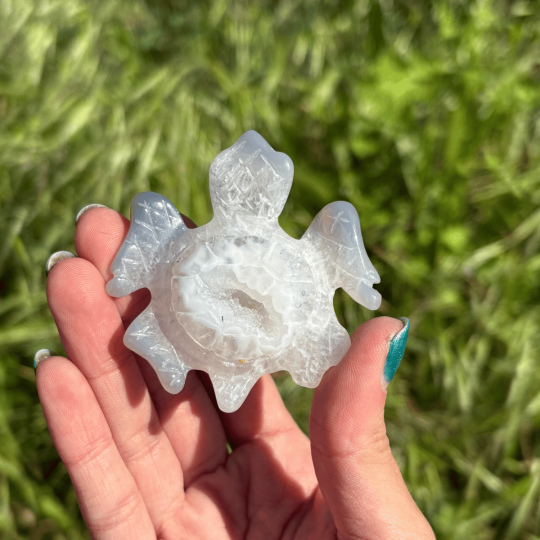 Tortue de mer en agate
