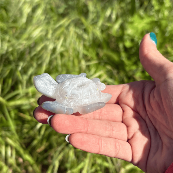 Tortue de mer en agate