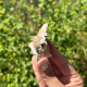 Cérusite et baryte du Maroc