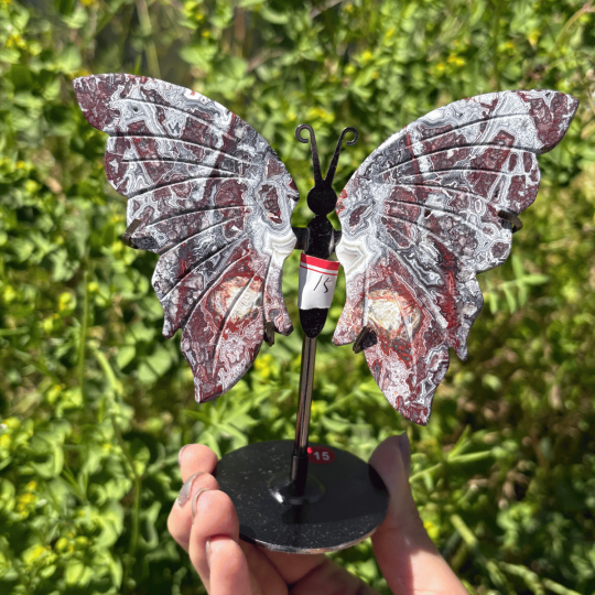Papillon en agate crazy lace du Mexique