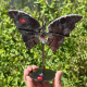Papillon en agate crazy lace du Mexique