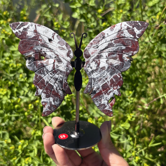 Papillon en agate crazy lace du Mexique
