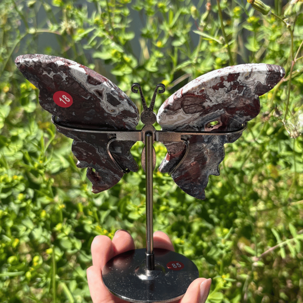 Papillon en agate crazy lace du Mexique