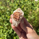 Vanadinite sur baryte du Maroc