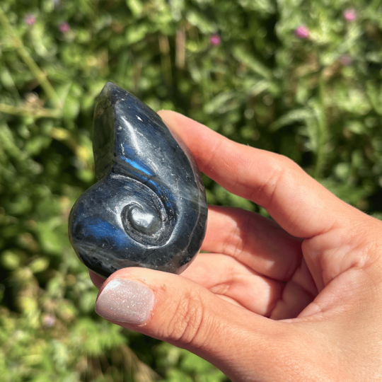 Ammonite en labradorite de Madagascar