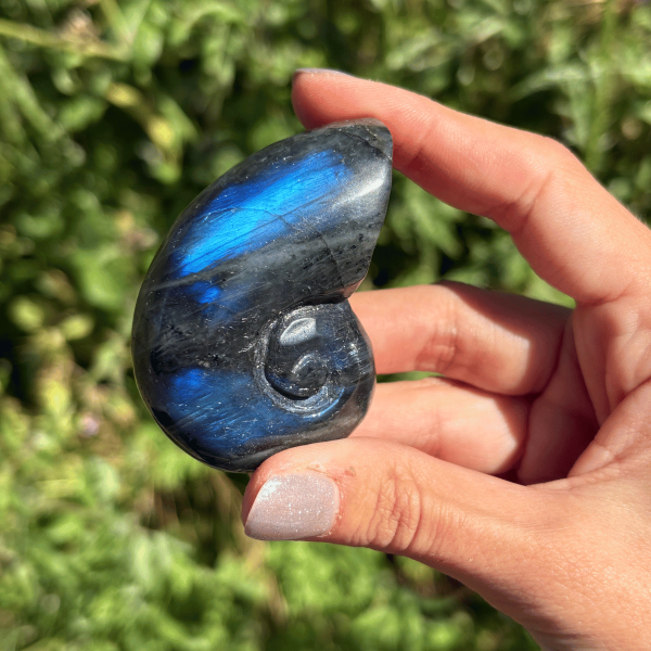 Ammonite en labradorite de Madagascar