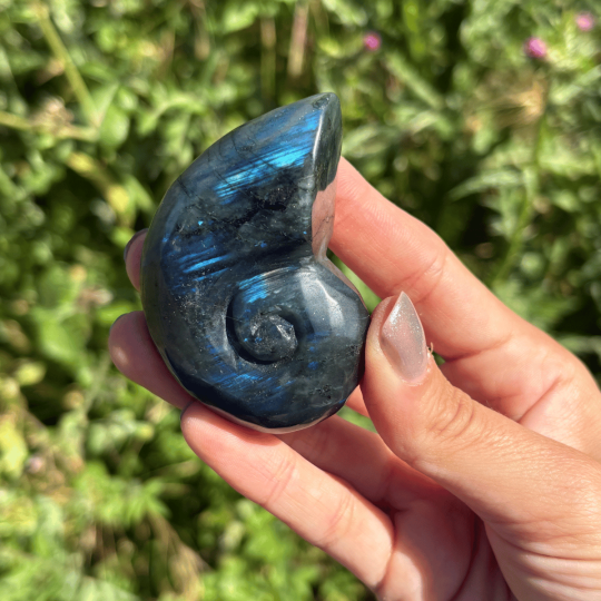 Ammonite en labradorite de Madagascar