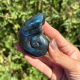 Ammonite en labradorite de Madagascar