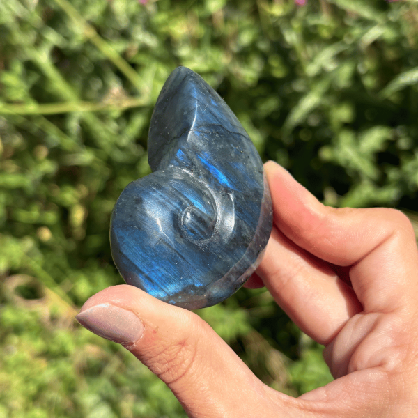 Ammonite en labradorite de Madagascar