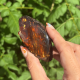 Ambre bleu d'Indonésie