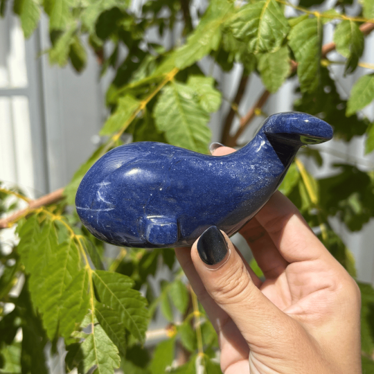 Baleine aventurine bleue