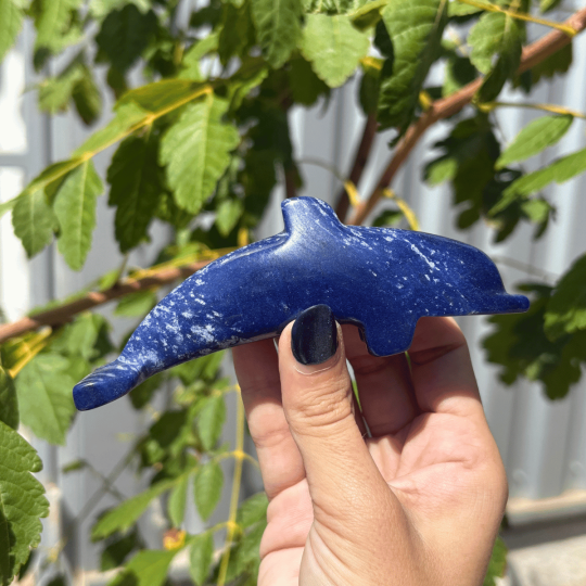 Dauphin en aventurine bleue