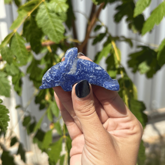 Dauphin en aventurine bleue