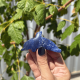 Dauphin en aventurine bleue