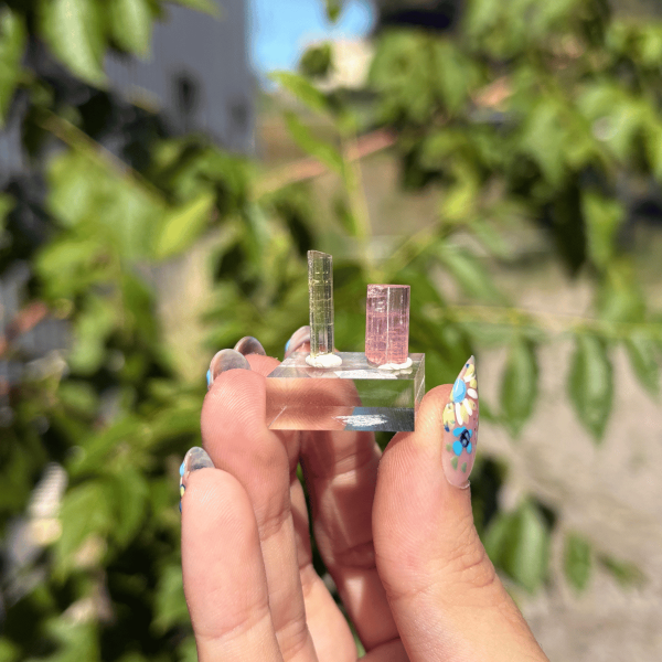 Duo de tourmalines de Californie