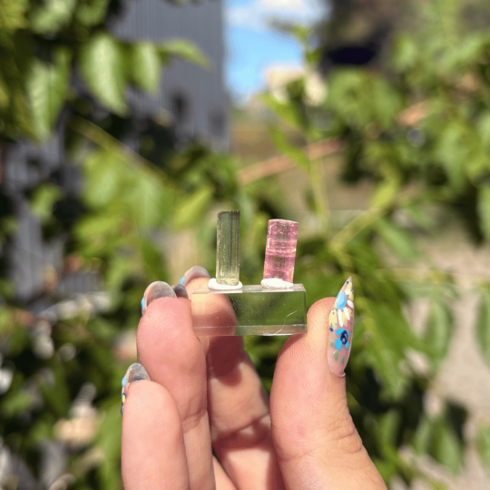 Duo de tourmalines de Californie