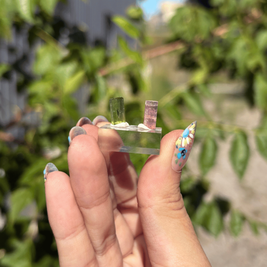 Duo de tourmalines de Californie