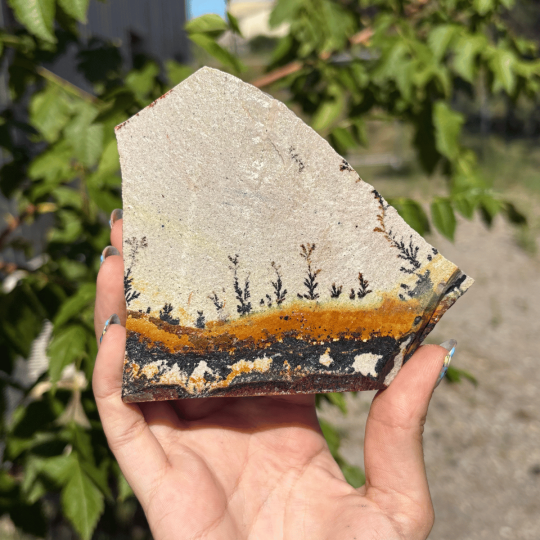 Jaspe dendrite de l'Utah