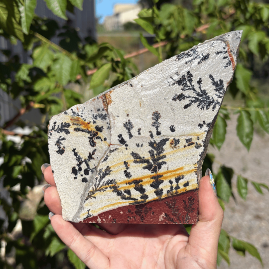 Jaspe dendrite de l'Utah