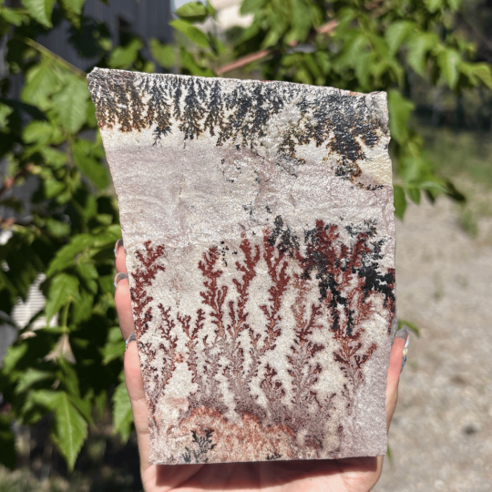 Jaspe dendrite de l'Utah