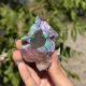 Ammolite du Canada