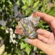Ammolite du Canada