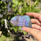Ammolite du Canada
