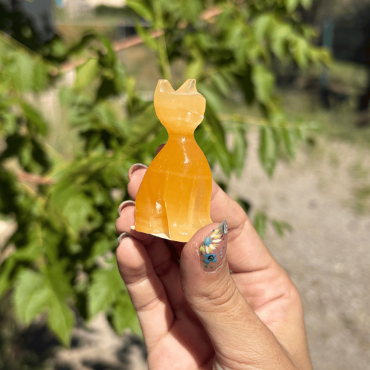 Chat en calcite