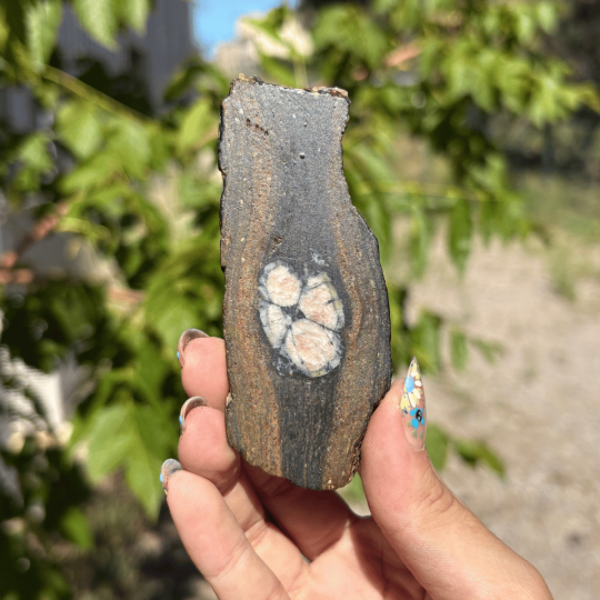 Chiastolite d'Espagne